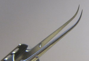 Evolution Nano - Pinzetten-Spitze (Detailansicht)